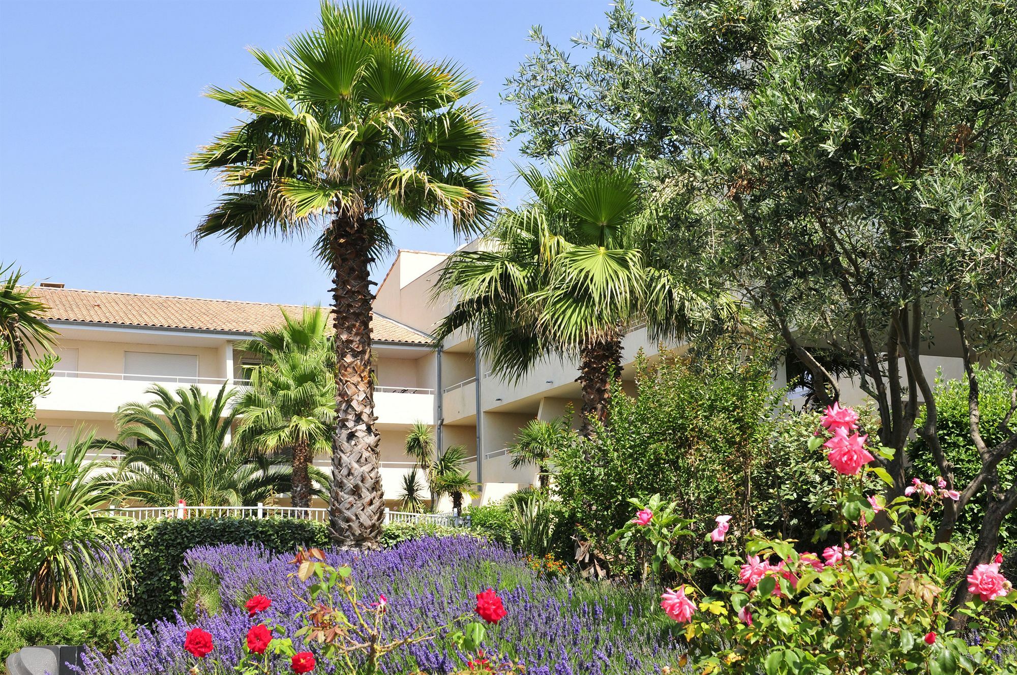 Residence Residhotel Mayflower Le Grau-du-Roi Exterior photo